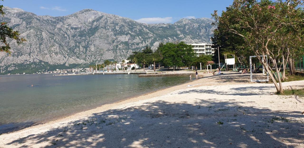 Apartments Scorpio Kotor Exterior foto