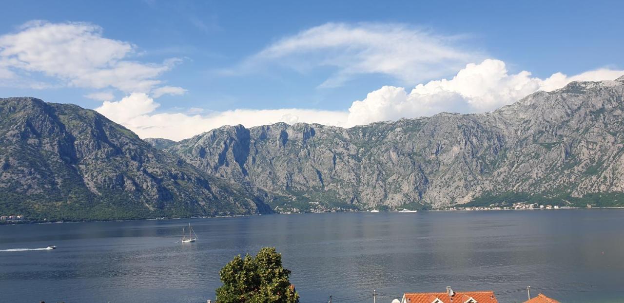 Apartments Scorpio Kotor Exterior foto