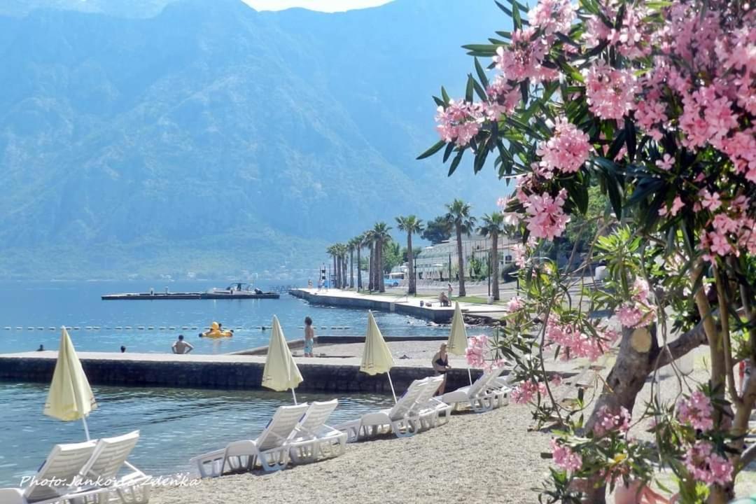 Apartments Scorpio Kotor Exterior foto