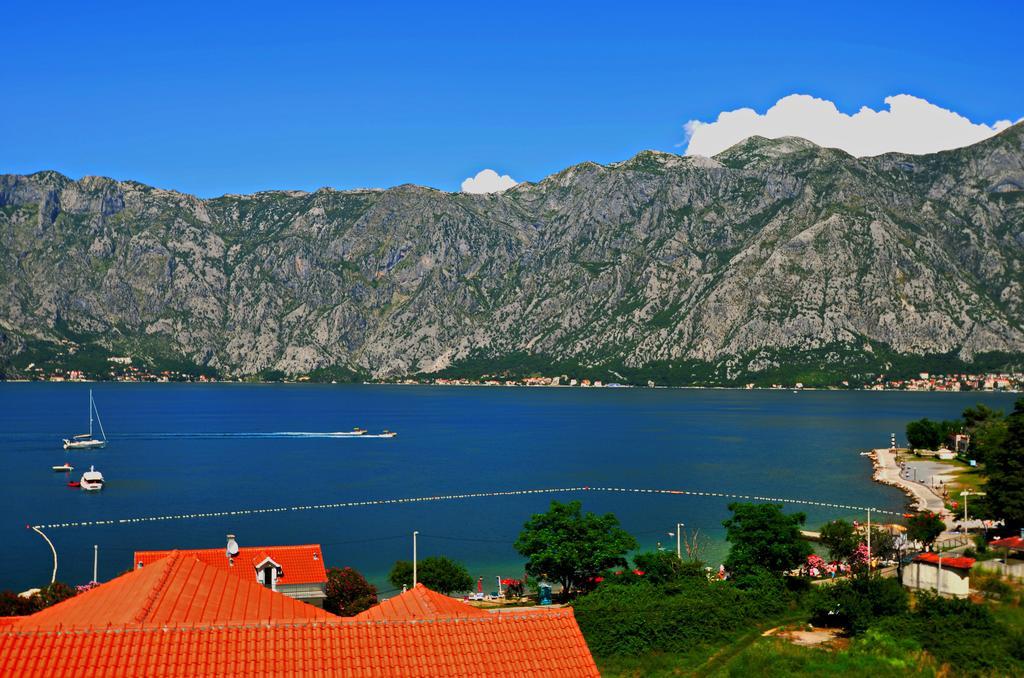 Apartments Scorpio Kotor Habitación foto